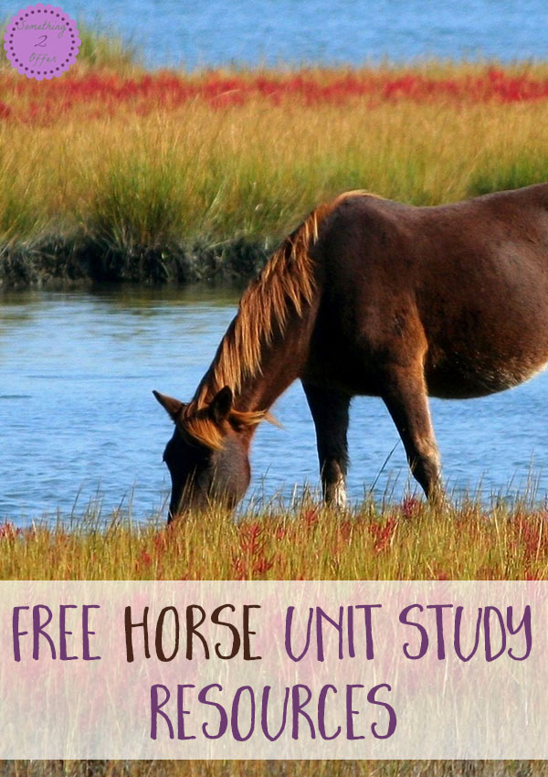 Free Horse Unit Study
