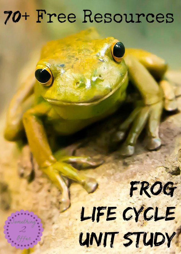 Free Resources Frog Life Cycle Unit Study
