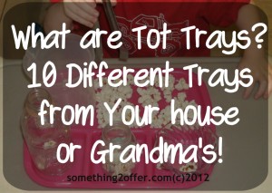 10 different tot trays
