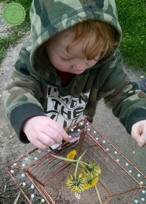 toddler with dandelions in wire basket