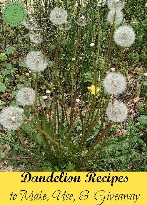 dandelion recipes to make use and giveaway