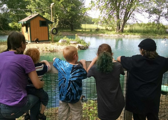 Walk Through Animal Safari Family at Fence