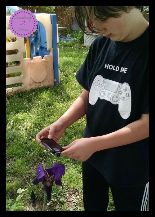 STEM flower wide angle lens