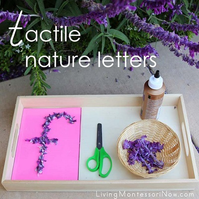 Tactile Nature Letters