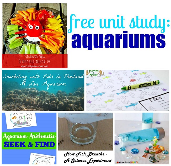 aquarium unit study