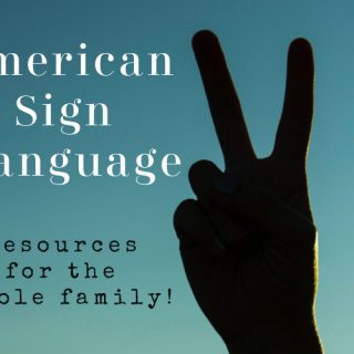 Hand showing "V" in ASL